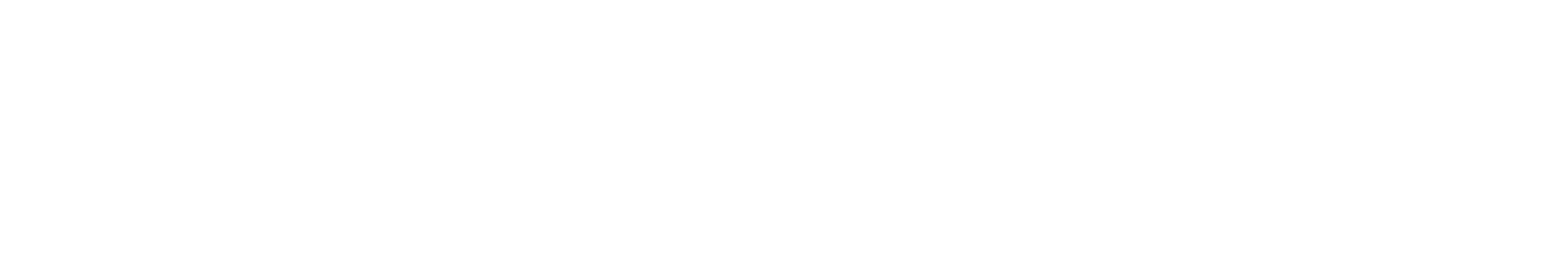 SMART Electric — 11 anos